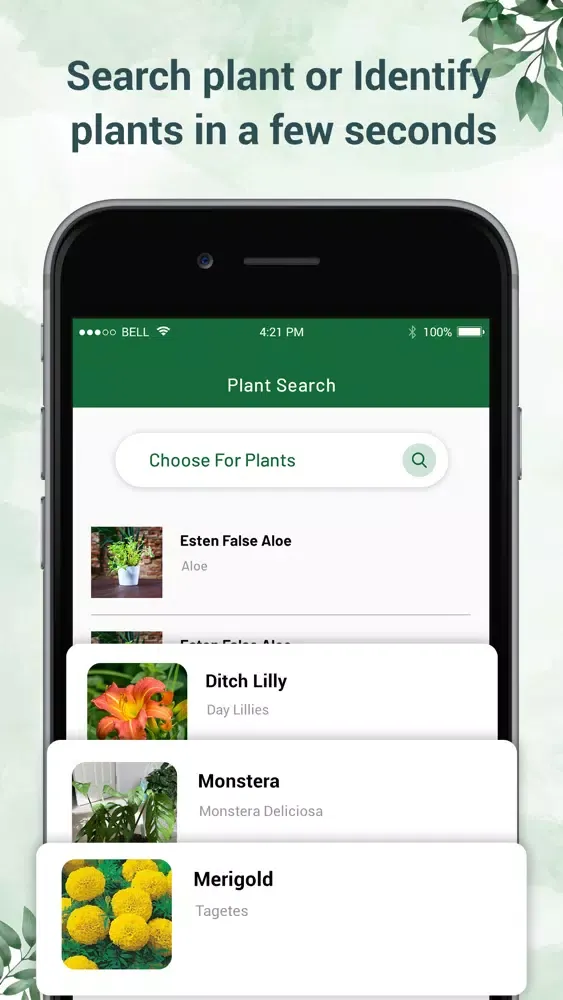 Plant Identifier - Plant ID स्क्रीनशॉट