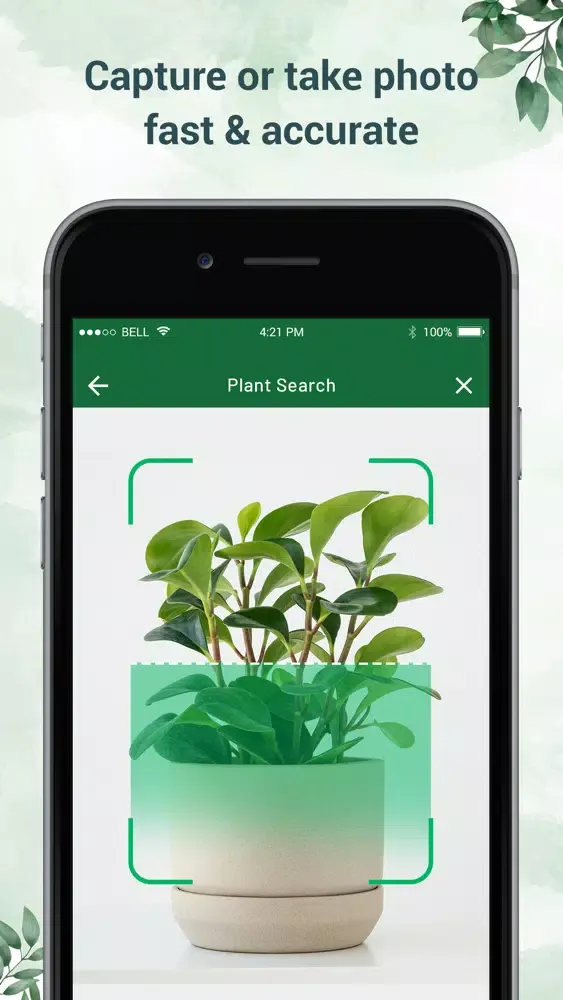Plant Identifier - Plant ID स्क्रीनशॉट