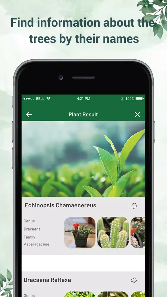 Plant Identifier - Plant ID स्क्रीनशॉट