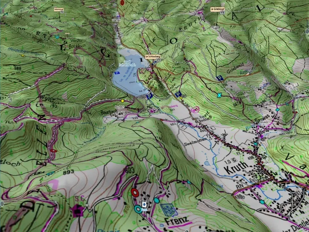 3619 OT Vosges iPad  স্ক্রিনশট
