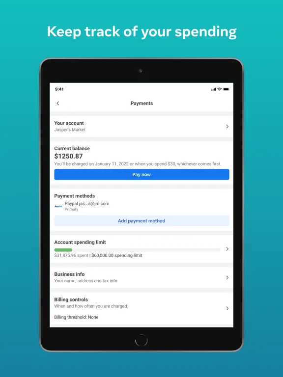 Meta Ads Manager iPad  Screenshots