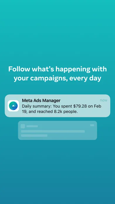 Meta Ads Manager Screenshots