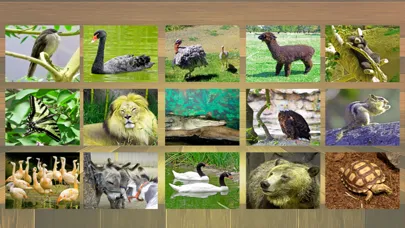 jigsaw puzzle kids what is an animal Screenshots
