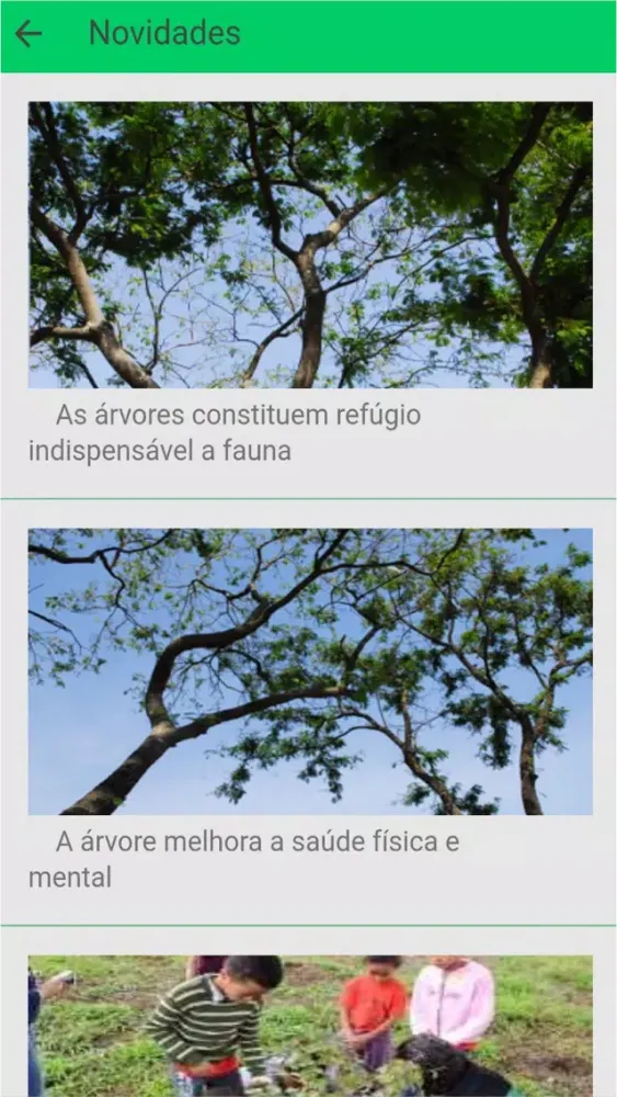 Скриншоты Arboriza Sorocaba