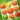 Bear Fruit