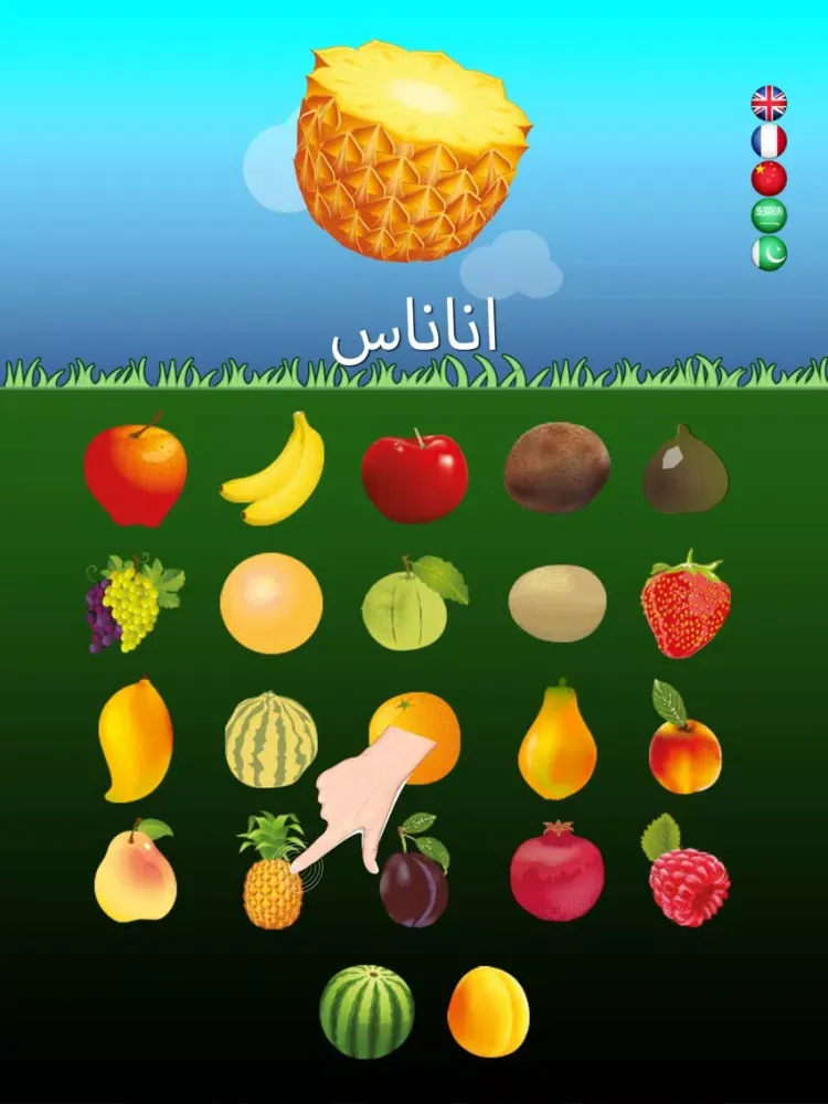 Captures d'écran de Multilingual Fruits Go for Kids iPad 