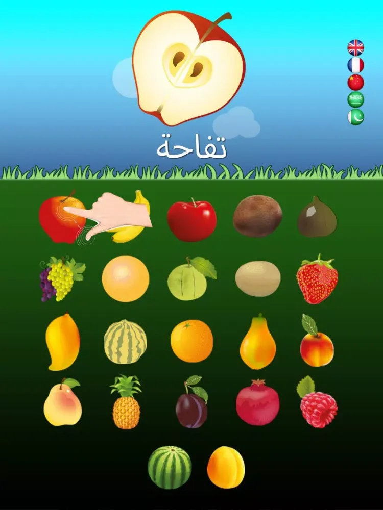 Captures d'écran de Multilingual Fruits Go for Kids iPad 