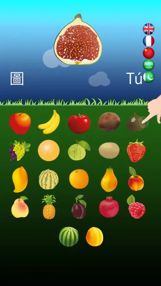 Captures d'écran de Multilingual Fruits Go for Kids