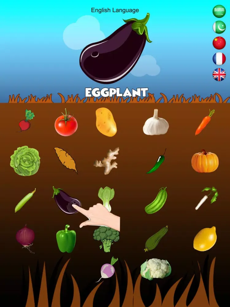 Multilingual Vegetable Names iPad  স্ক্রিনশট