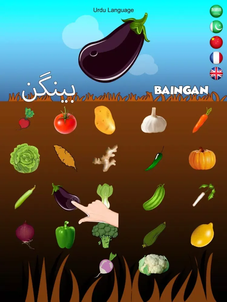 Multilingual Vegetable Names iPad  স্ক্রিনশট