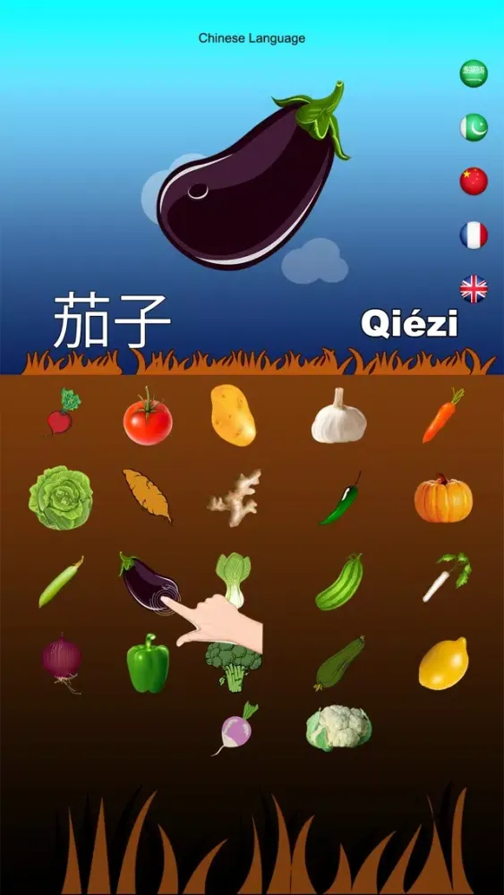 Multilingual Vegetable Names স্ক্রিনশট