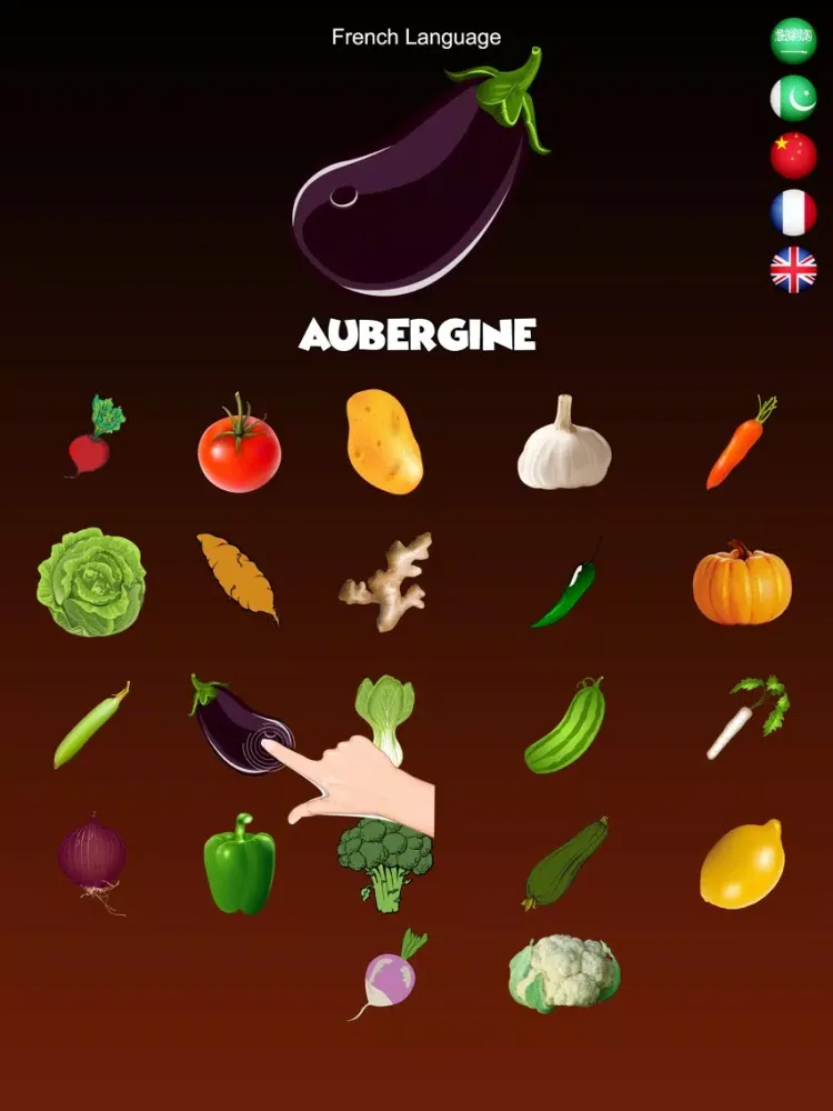 Ảnh chụp màn hình của Vegetables Dictionary Multi iPad 