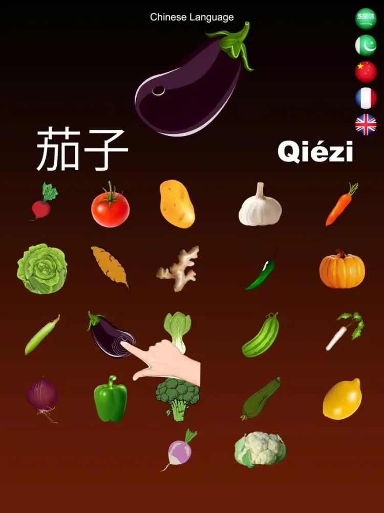Ảnh chụp màn hình của Vegetables Dictionary Multi iPad 
