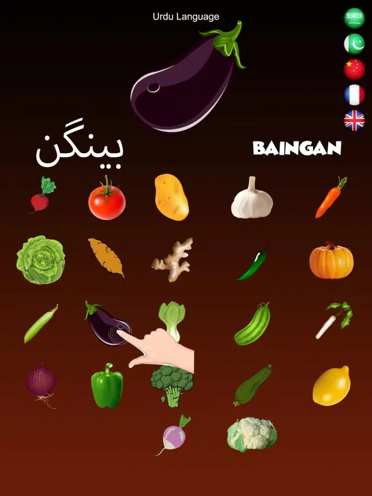 Ảnh chụp màn hình của Vegetables Dictionary Multi iPad 