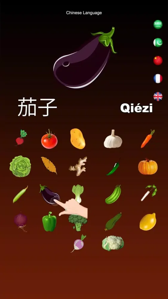 Ảnh chụp màn hình của Vegetables Dictionary Multi