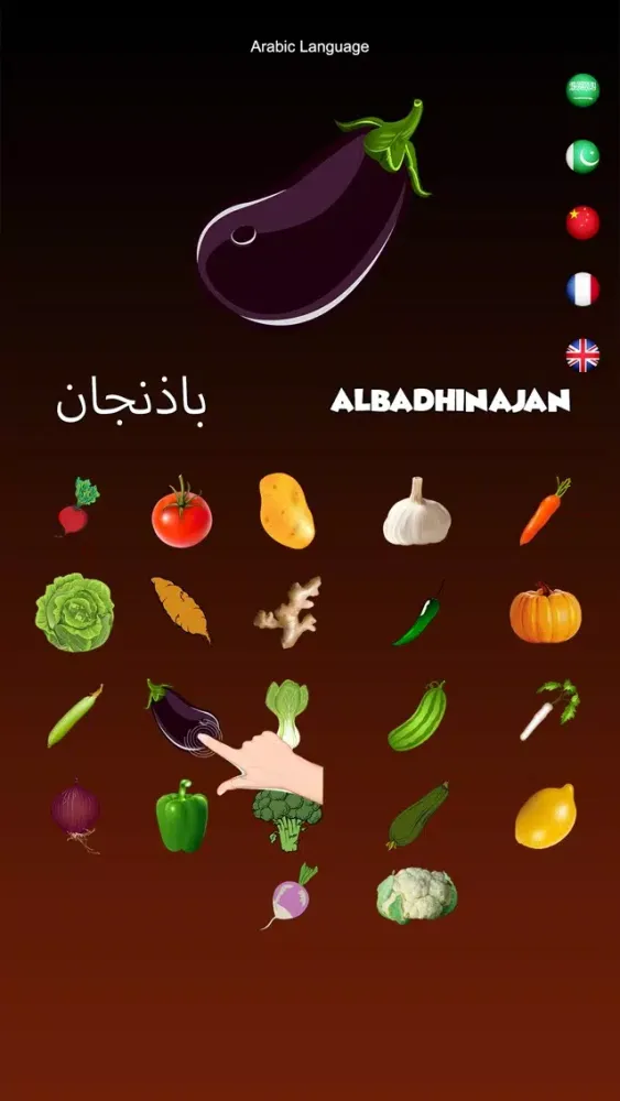 Ảnh chụp màn hình của Vegetables Dictionary Multi