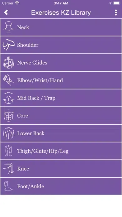 Zrzuty ekranu Fairbanks Chiropractic Clinic