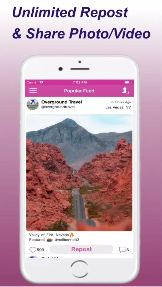 Screenshot di RepostAll
