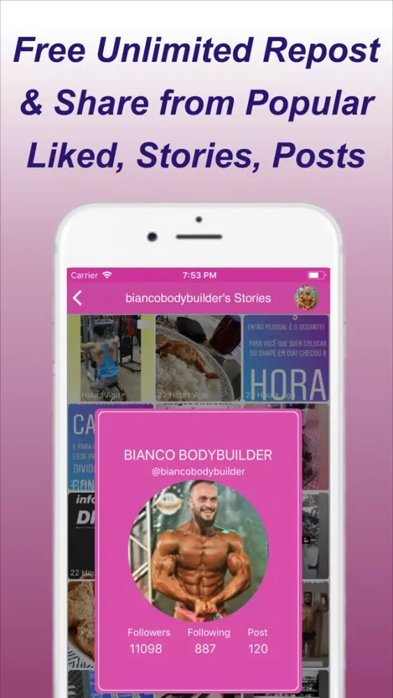 Screenshot di RepostAll