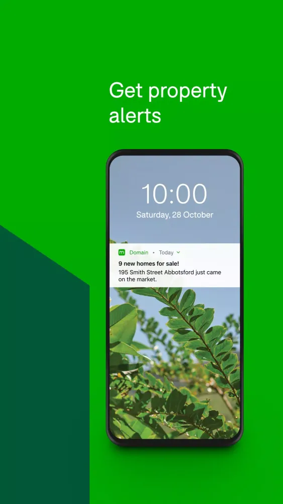 Domain Screenshots