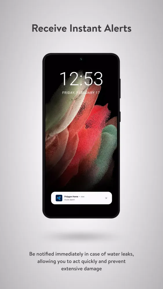 صور Polygon Home