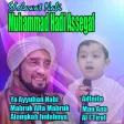 Sholawat Nabi Bersama Muhammad Hadi Assegaf