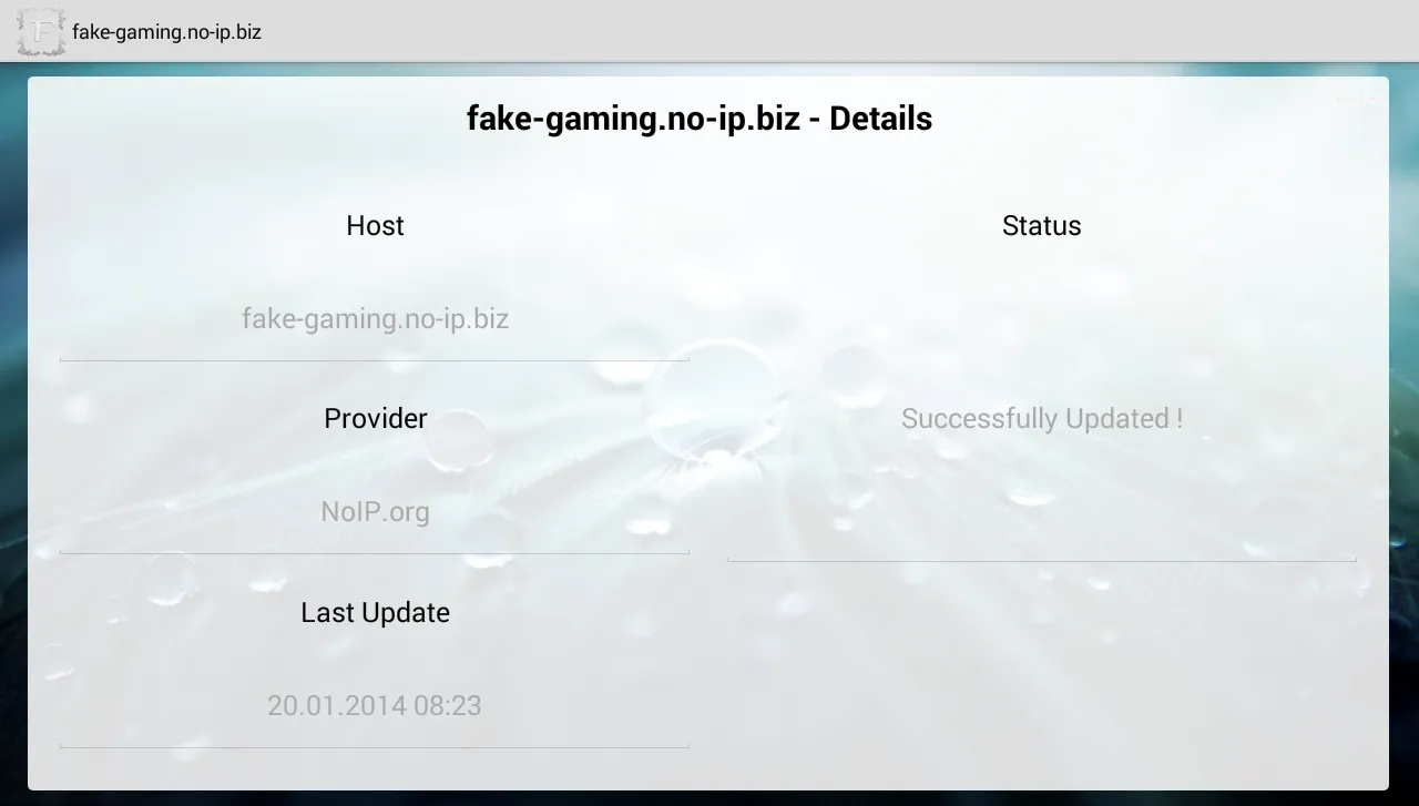 Multi DynDNS Updater Free Screenshots