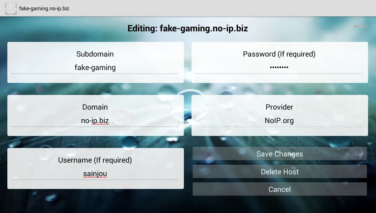 Multi DynDNS Updater Free Screenshots