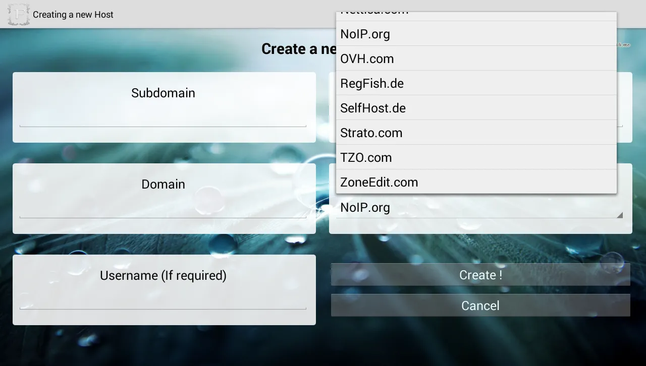 Multi DynDNS Updater Free Screenshots
