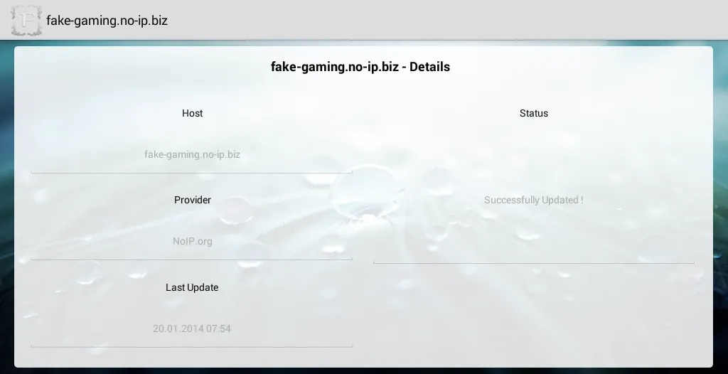 Multi DynDNS Updater Free Screenshots