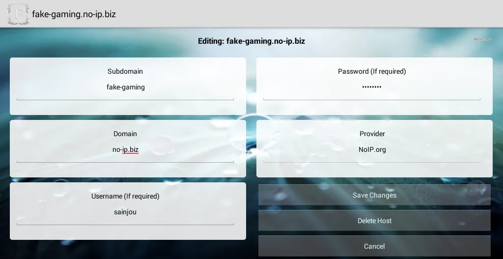Multi DynDNS Updater Free Screenshots