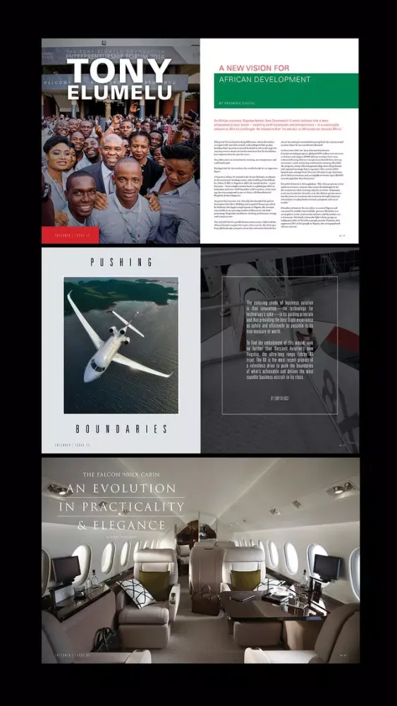Capturas de pantalla de Falconer Magazine