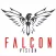 Falcon Vision