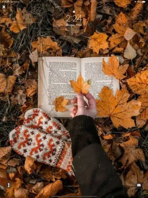 Fall wallpapers aesthetic 4k iPad  Ekran Görüntüleri