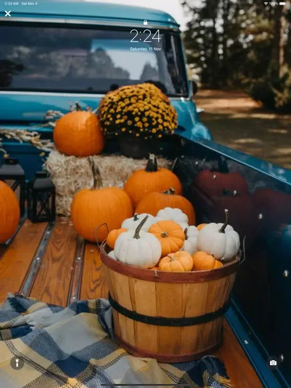 Fall wallpapers aesthetic 4k iPad  Ekran Görüntüleri