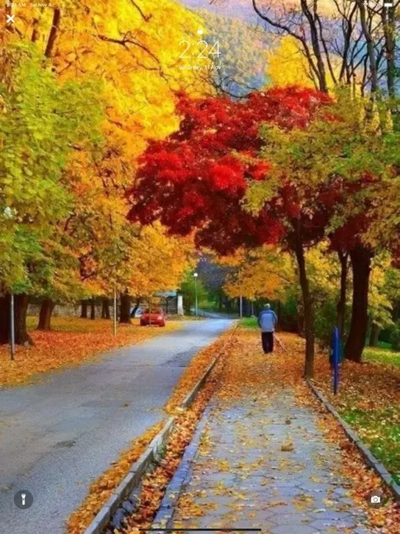 Fall wallpapers aesthetic 4k iPad  Ekran Görüntüleri