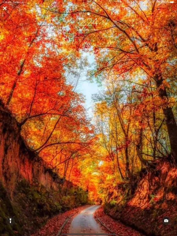 Fall wallpapers aesthetic 4k iPad  Ekran Görüntüleri
