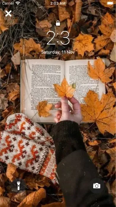 Fall wallpapers aesthetic 4k Ekran Görüntüleri