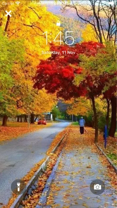 Fall wallpapers aesthetic 4k Ekran Görüntüleri