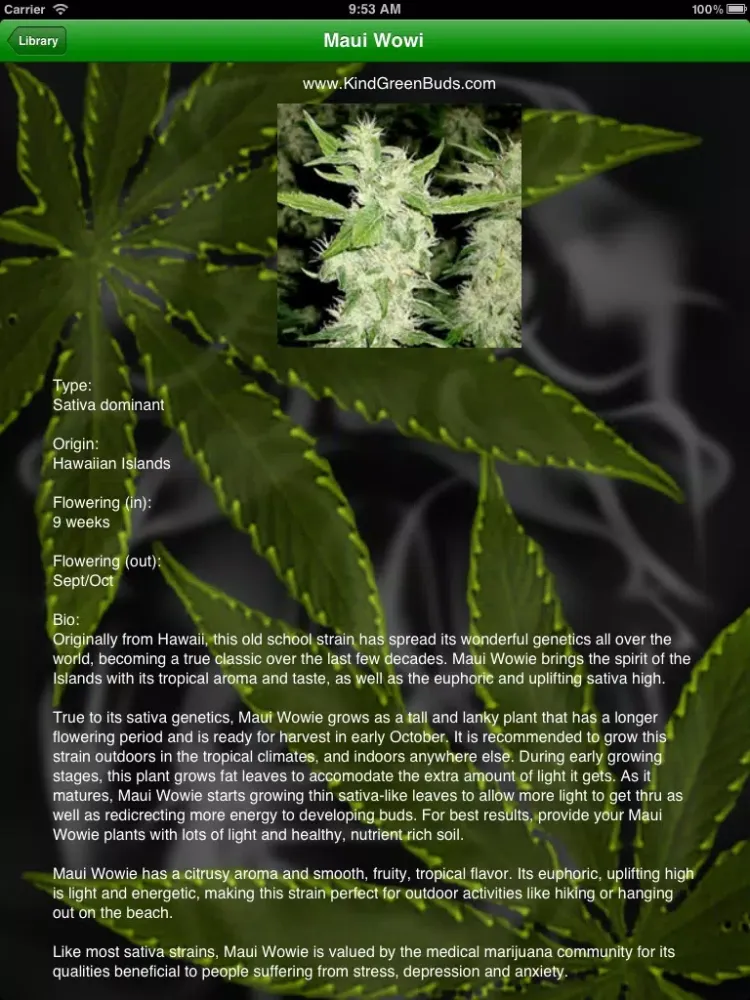 Screenshot di Marijuana Handbook Lite HD - The Ultimate Medical Cannabis Guide With The Best of Edible, Ganja Strains, Weed Facts, Bud Slang and More! iPad 