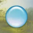 Quell+