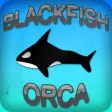 Blackfish Orca Blackfish Orca