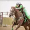 Barrel Racing Tips