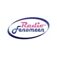 Radio Fenomeen