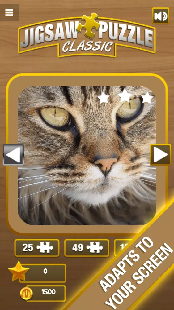 Скриншоты Jigsaw Puzzle