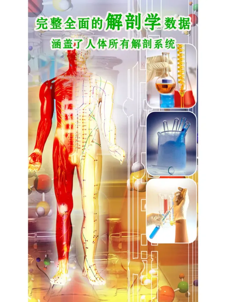 Capturas de pantalla de 3d人体解剖生理学-人体医学肌肉解剖图谱 iPad 