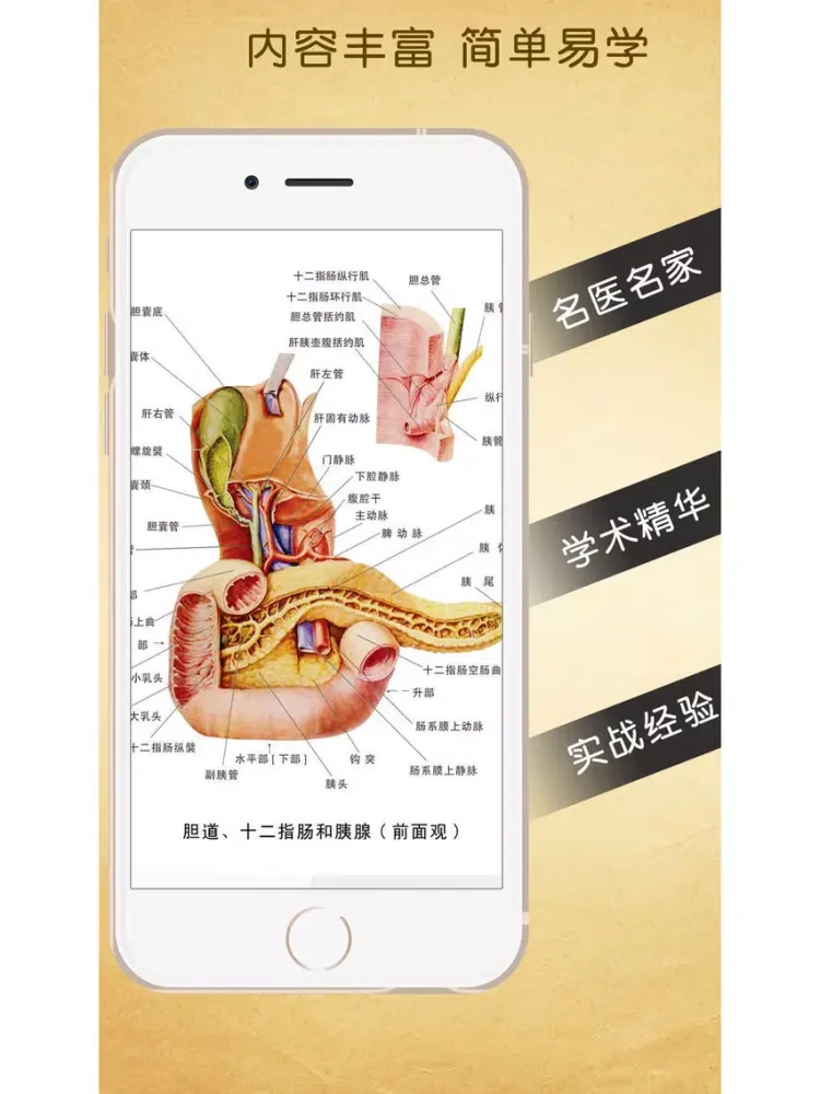 Capturas de pantalla de 3d人体解剖生理学-人体医学肌肉解剖图谱 iPad 
