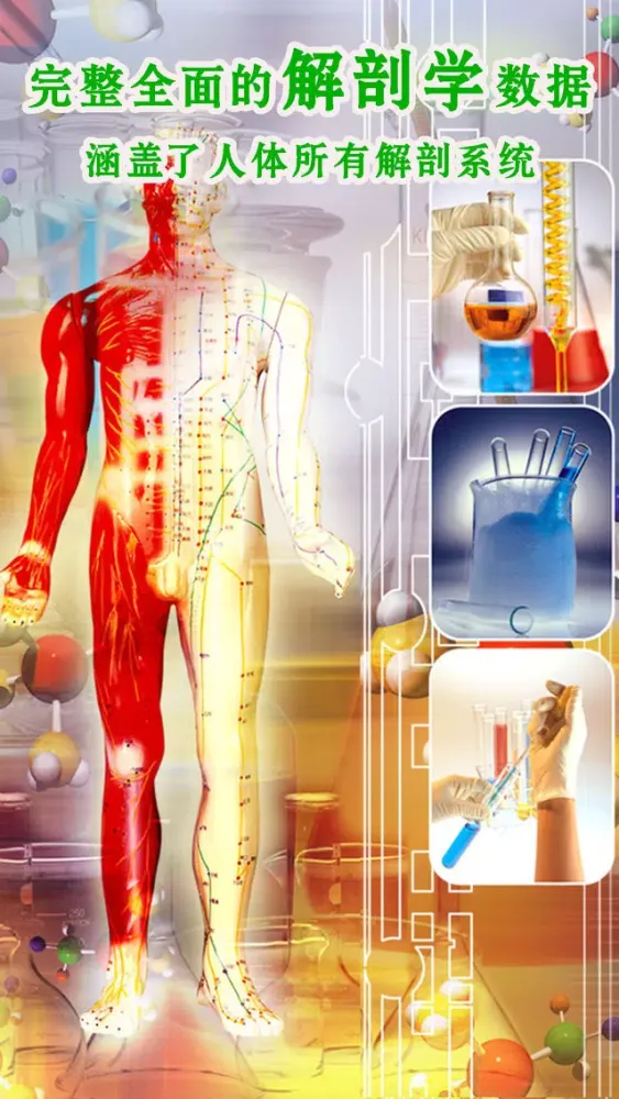 Capturas de pantalla de 3d人体解剖生理学-人体医学肌肉解剖图谱