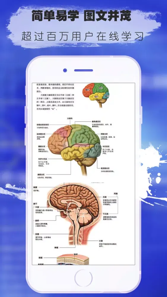Capturas de pantalla de 3d人体解剖生理学-人体医学肌肉解剖图谱