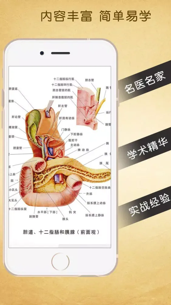 Capturas de pantalla de 3d人体解剖生理学-人体医学肌肉解剖图谱